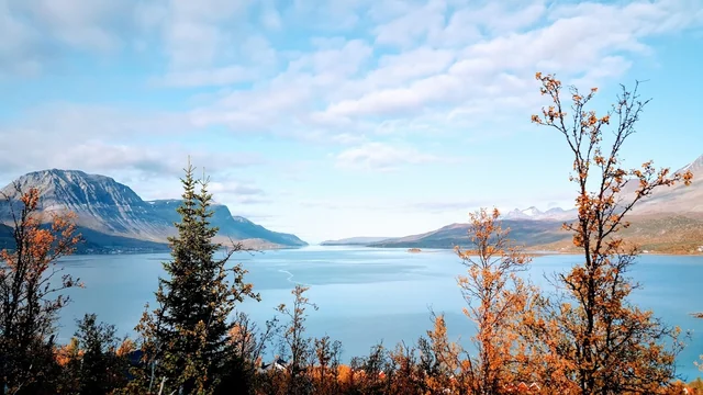 Fjord, fjell og trær i klare høstfarger